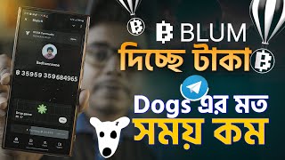 Blum দিচ্ছে টাকা। Blum airdrop payment and withdraw [upl. by Airotna]