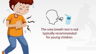 ASSURE Helicobacter pylori Rapid Test CE Instruction for use video MP Biomedicals Asia Pacific [upl. by Meehyr]