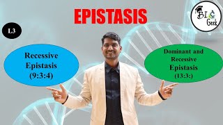 Genetics Epistasis Recessive Epistasis amp Dominant Recessive Epistasis BScMSc Life Science [upl. by Polivy]