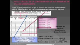 Actividad de la glucosa 6 fosfatasa parte I [upl. by Mailliw]