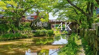 【戦国時代からの残る水の都】初夏の八幡堀を訪ねて  JAPAN in 4K [upl. by Higinbotham803]