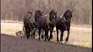 Neil Dimmock plows plowing Match [upl. by Eolhc]