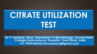 Citrate Utilization Test [upl. by Shevlo]