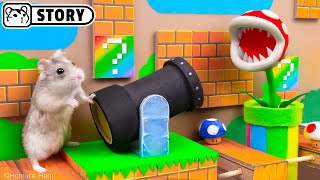 🍄 Hamster Escapes the Super Mario Maze 20 🍄 Homura Ham [upl. by Catriona106]