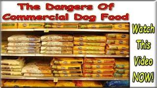 ☼☼☼ Best Homemade Dog Food Recipes ♥ FREE COURSE ♥ Dog Diet And Nutrition [upl. by Singhal]