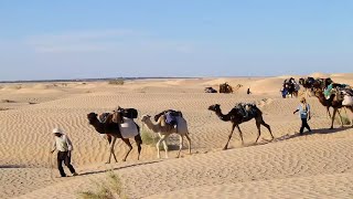 ‘A Walking Holiday in the Sahara by Ella Young [upl. by Sitoiganap]