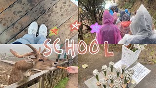 ˗ˏˋ study tour vlog goes to bandung ࣪ ׅ ⊹ [upl. by Ailekat]