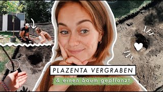 Plazenta vergraben  nach 1 12 Jahren im Gefrierschrank  Gartenupdate  MANDA Vlog [upl. by Noby]