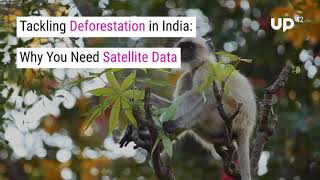 Tackling Deforestation in India Why You Need Satellite Data [upl. by Enelloc]