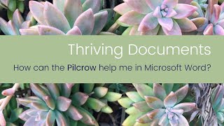 Thriving Documents  How can the Pilcrow help me in Microsoft Word [upl. by Sirred]