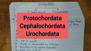 ProtochordataCephalochordata Urochordata [upl. by Daria962]