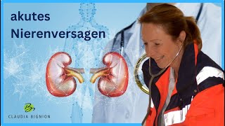 Alarmstufe Rot Akutes Nierenversagen entschlüsselt  Prärenal Renal Postrenal einfach erklärt [upl. by Garges458]