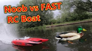 Noob Brushless RC Speed Boat Chase [upl. by Attelrac629]