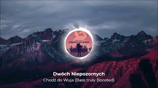 Dwóch Niepozornych  Chodź do Wuja Bass truly Boosted Lyrics Video [upl. by Turley]