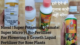 NavalPotassium HumateSuper Micro 7BioFertilizer For Rose Plants इसे देने से गुलाब कभी नहीं मरेगा [upl. by Fredericka169]