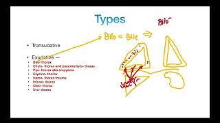 Pleural Effusion  Types  TRANSUDATE versus EXUDATE  Clinical Features  PART 2 [upl. by Ahsaeit]