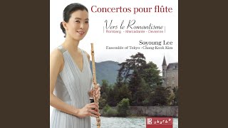 Flute Concerto in B Minor Op 17 Op 30  I Allegro maestoso [upl. by Morentz818]