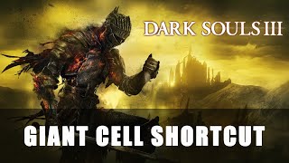 Giant Cell Shortcut [upl. by Mcclish533]