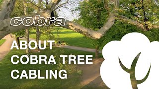 About cobra® Tree Cabling English [upl. by Einahpts]