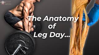 Ultimate Leg Day Workout You Can’t Miss [upl. by Assennav320]