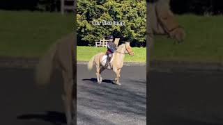 Harlow’s first jump vs her highest on popcorn ❤️❤️❤️ harlowandpopcorn [upl. by Cliff967]