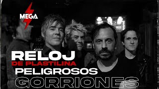 Peligrosos Gorriones en MEGA 983 [upl. by Carnahan]