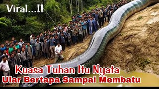 Viral  Subhanallah Sosok Ular Naga Bertapa Dan Menjadi Batu Di Video Ini Buktinya [upl. by Asila]