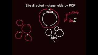 Principle of sitedirected mutagensis by PCR [upl. by Clift263]