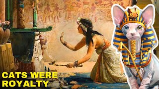 Why Were Cats Worshipped In Ancient Egypt [upl. by Fredelia239]