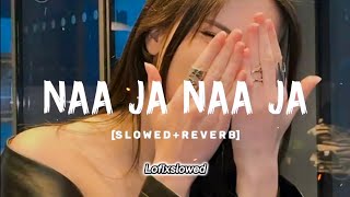 ✨Na Ja  Pav Dharia  Slowed amp Reverb  Lofi Song 💫 lofisong [upl. by Hatokad273]