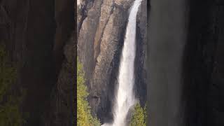 Beautiful Yosemite Waterfall nature relax waterfall [upl. by Zia]