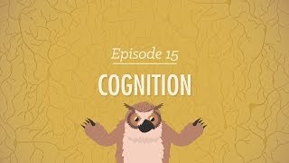 Cognition  How Your Mind Can Amaze and Betray You Crash Course Psychology 15 [upl. by Aryamoy]