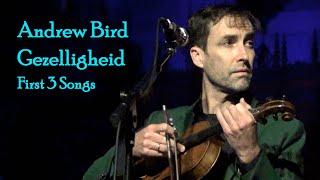 Andrew Bird Gezelligheid  First 3 Songs of Final 2023 Show  121523 Chicago [upl. by Inerney]