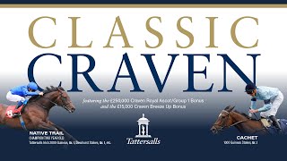 Tattersalls Craven Breeze Up Sale 2023 Breezes in lot order [upl. by Von]