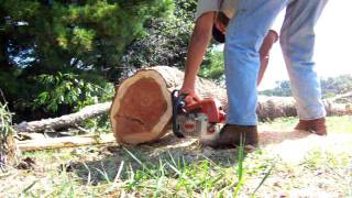 Stihl  029 cutting a log [upl. by Thibault]