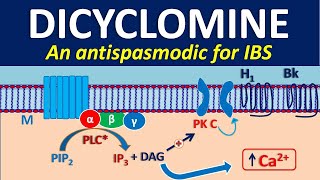 Dicyclomine as antispasmodic [upl. by Ellicul]