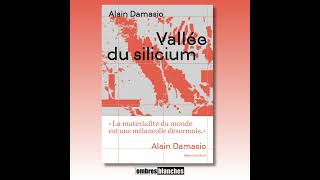 Alain Damasio → Vallée du silicium [upl. by Kathlene]