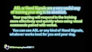 Dog Training  ASL and Hand Signals [upl. by Nosnev]