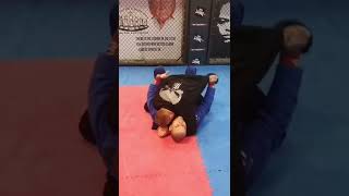 Lapel sweep shorts bjj bjjhighlights [upl. by Nager757]