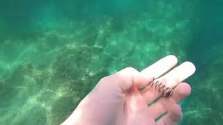 Picking up nice trash from underwater at Tel Dor Beach Israel [upl. by Seadon760]