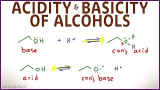 Acidity and Basicity of Alcohols [upl. by Ahtnamas282]