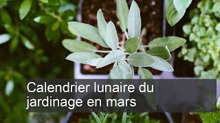 Calendrier lunaire du jardinage mars [upl. by Haskins]