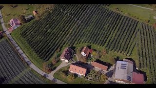 FLORA Blühendes Österreich und BirdLife Österreich fördern Insektenschutz [upl. by Avad]