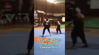 Pencak Silat Fight Junior Counter Cekatan Biru dennywewey9649 [upl. by Kcirddot419]