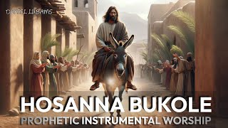 HOSANNA BUKOLE BY DANIEL LUBAMS  PROPHETIC INSTRUMENTAL WORSHIP [upl. by Carmita]