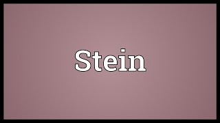 Stein Meaning [upl. by Nishom]