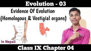 Homologous Organ amp Vestigial Organ  Evolution Part 03  Class 9 Science Chapter 4 in Nepali [upl. by Koenraad722]