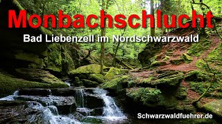 Monbachschlucht bei Bad Liebenzell im Schwarzwald [upl. by Niras]