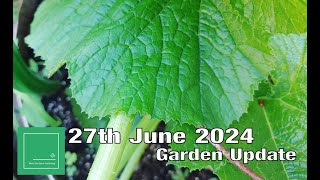 27th June 2024 Garden Update [upl. by Aicekan]