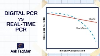 Digital PCR vs Realtime PCR  Ask TaqMan 30 [upl. by Athalia]